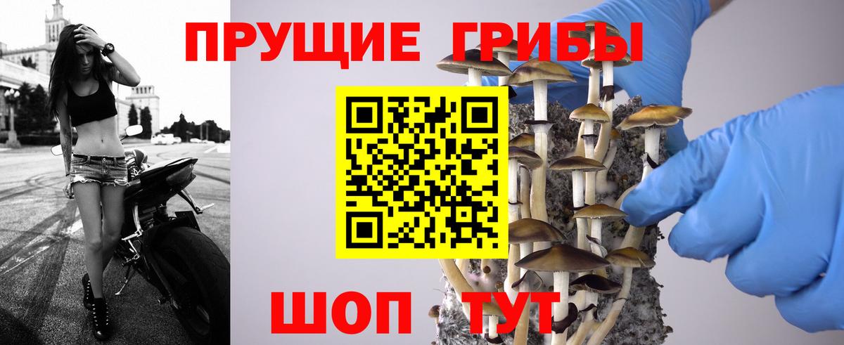 продажа наркотиков  Псилоцибиновые грибы мицелий  Гусь-Хрустальный  Вход с VPN  Галлюциногенные грибы прущие грибы 